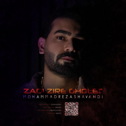 محمدرضا شوندی - زدی زیر قولت